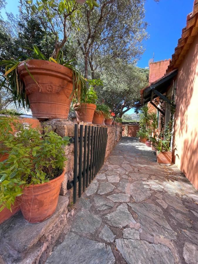 Villa Antonia Calvi  Zewnętrze zdjęcie